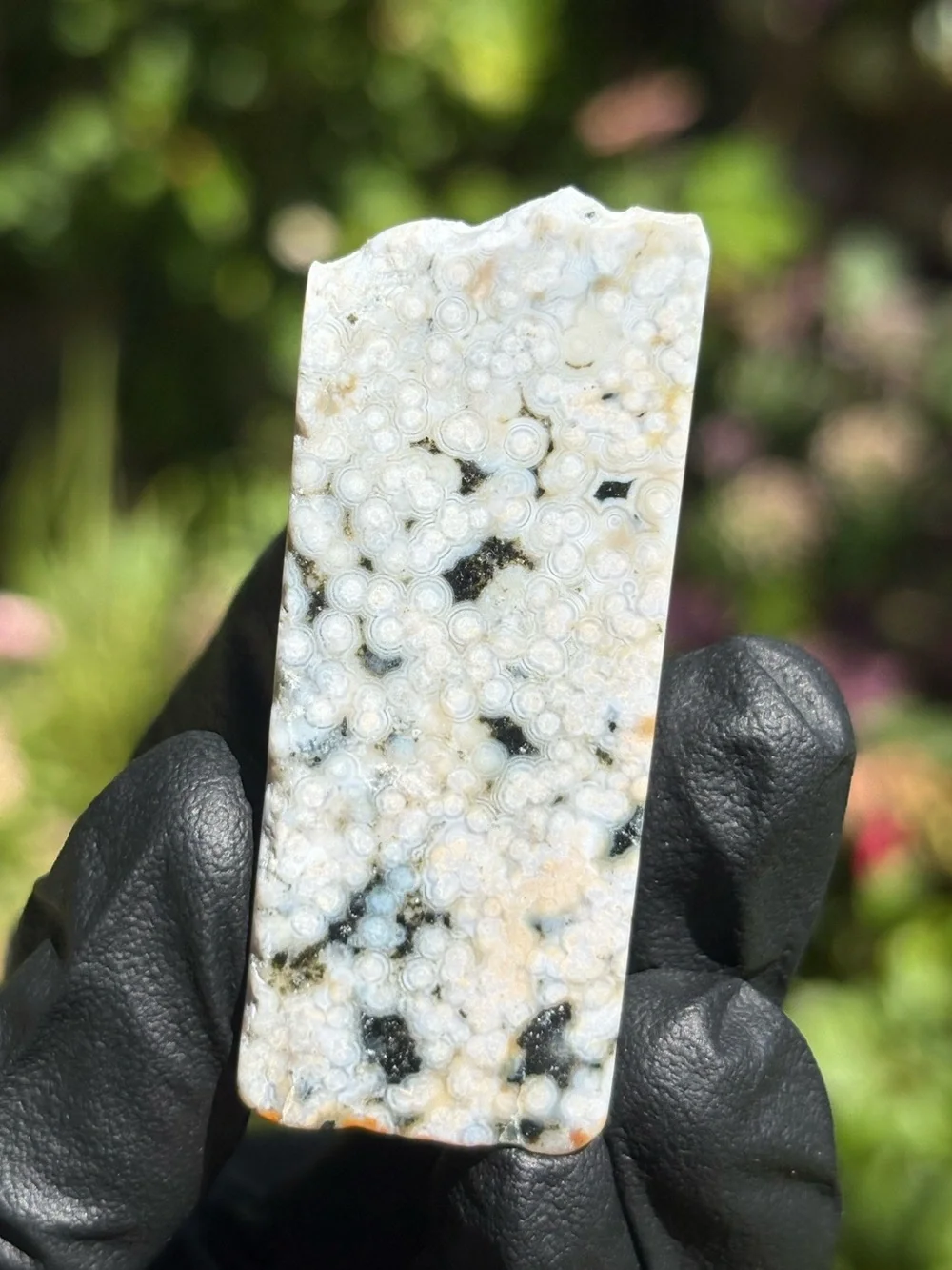 Discounted* Chipped Ocean Jasper Crystal Freeform - Polished Sea Jasper - OBJ